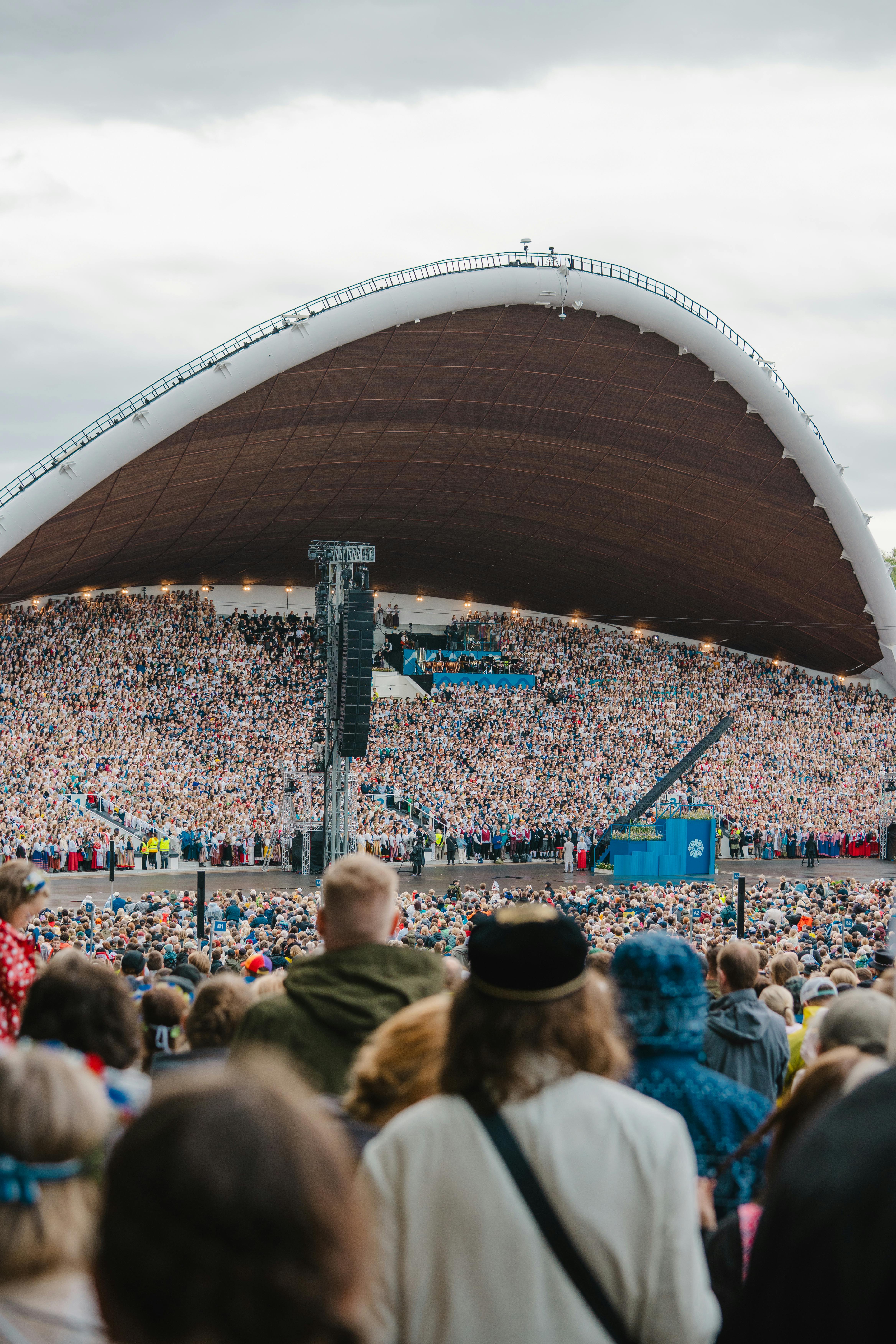 Festivals & Film Centers